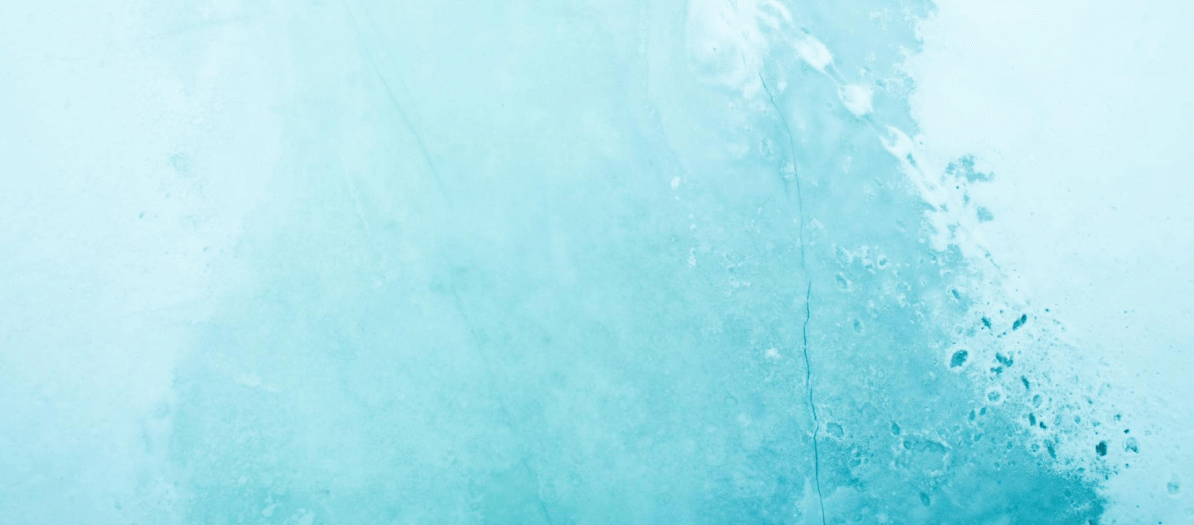 Gizlilik Politikası