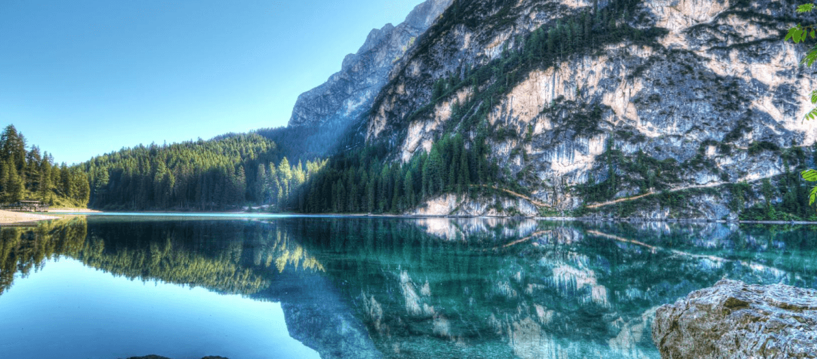 Kullanım Koşulları